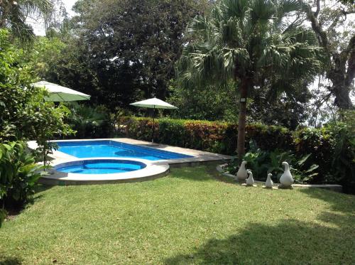 a swimming pool in a yard with ducks in the grass at Casa Laguna Magica in Catemaco