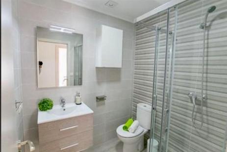 W łazience znajduje się toaleta, umywalka i prysznic. w obiekcie Appartement entier w mieście El Altet