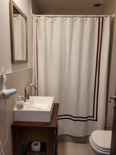 baño con lavabo y cortina de ducha en Olivos Suites in 