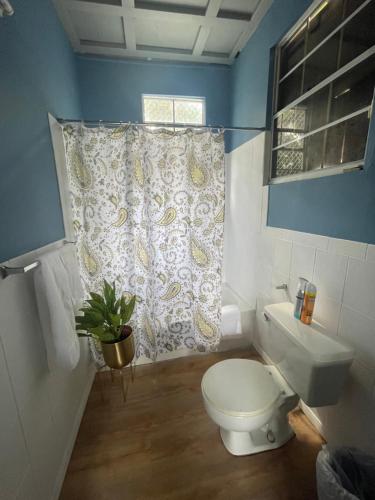 a bathroom with a toilet and a shower curtain at JJ Guest House in Branns Hamlet