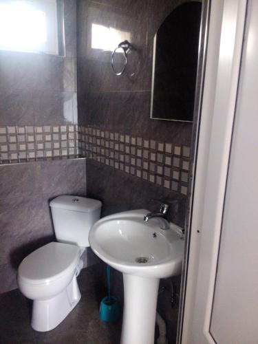 uma pequena casa de banho com WC e lavatório em MerabKostava st.N9 em Akhalubani