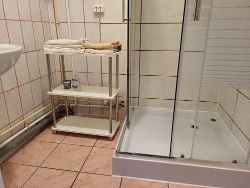 a bathroom with a shower and a sink at Sodyba - Antalieptės marios in Zarasai