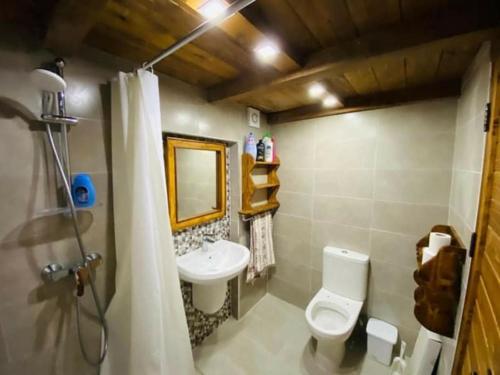 a bathroom with a toilet and a sink at Ta' Ciangura House of Character in Għajnsielem