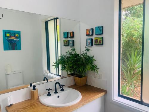 a bathroom with a sink and a mirror and a plant at Sea & Vines in McLaren Flat