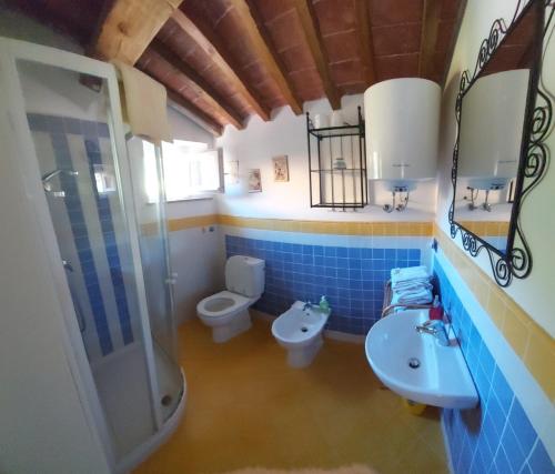 a bathroom with a shower and a toilet and a sink at il Fienile di Penelope in Marliana