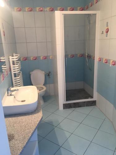 y baño con aseo, lavabo y ducha. en Pensjonat Orka Mielno, en Mielno