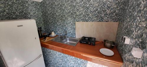 un bancone della cucina con lavandino e frigorifero di Altana letnia nr1 - Herbergerówka Agroturystyka na wsi a Duszniki Zdrój