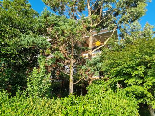 a house in the midst of trees and bushes at Dreamland Oasis in Chakvi in Chakvi