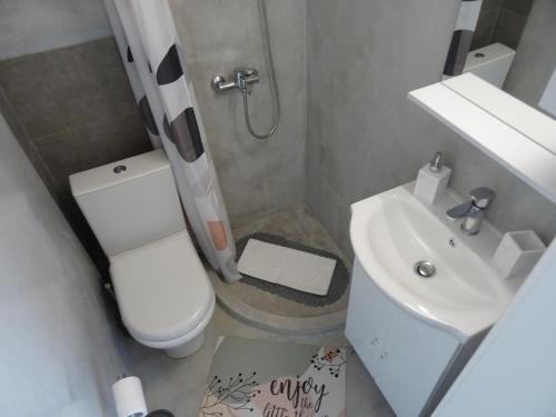 a small bathroom with a toilet and a sink at JOY's Central Apartment in Thessaloniki