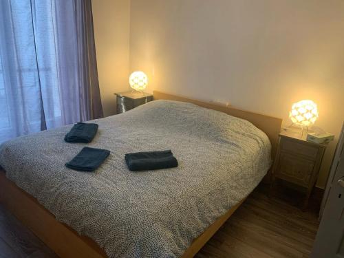 zwei Handtücher auf einem Bett in einem Schlafzimmer mit zwei Lampen in der Unterkunft Appartement en plein cœur de Brest in Brest