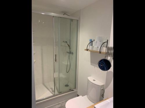 ein Bad mit einer Dusche und einem weißen WC in der Unterkunft Appartement en plein cœur de Brest in Brest