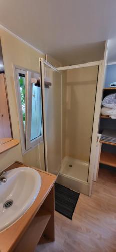 a bathroom with a sink and a glass shower at Domek Vira - Herbergerówka Agroturystyka na wsi in Duszniki Zdrój