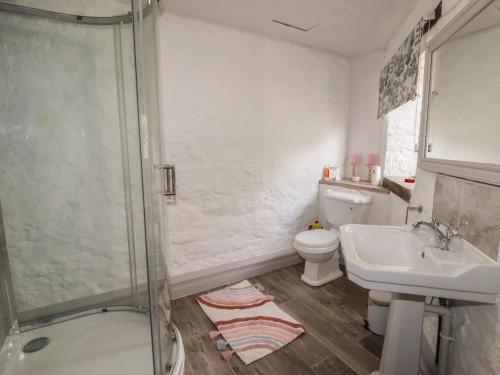 a bathroom with a shower and a toilet and a sink at The Old Hall in Holywell