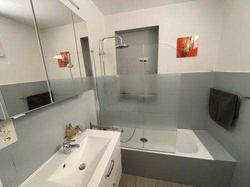 y baño con ducha, lavabo y bañera. en Les Dents-du-Midi en Monthey