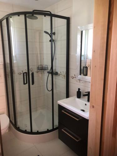 een badkamer met een douche en een wastafel bij Domek w Zaciszu in Szaflary
