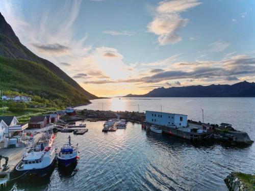 een groep boten aangemeerd op een dok in het water bij Senja Living in Stonglandseidet