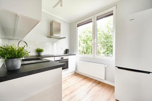 A kitchen or kitchenette at Apartament u Profesora 64 M2