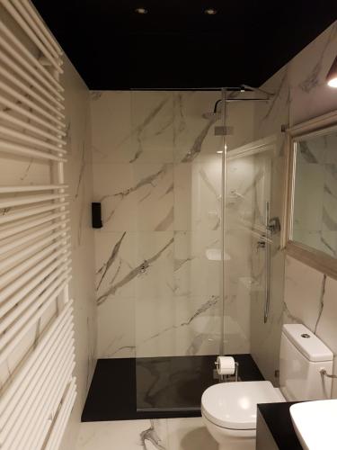a bathroom with a toilet and a glass shower at Apartamenty Carskie Koszary in Zamość