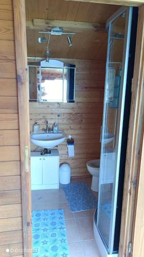 a bathroom with a sink and a toilet at Landurlaub im Holzhaus in Ulrichshorst