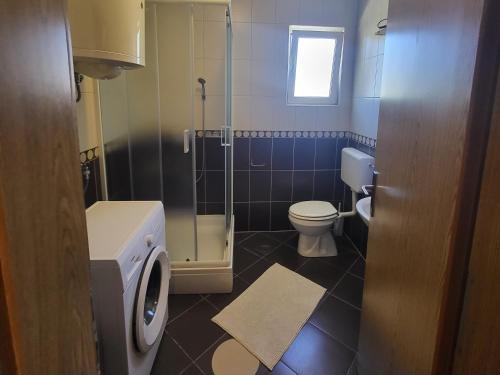a bathroom with a toilet and a shower at Apartment Magdalena in Sveti Filip i Jakov