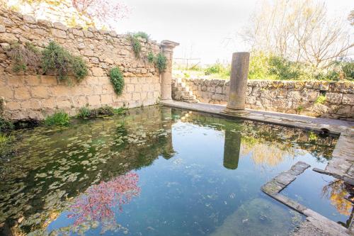 a pool of water next to a stone wall at Feudo Rosso di Cerami in Enna