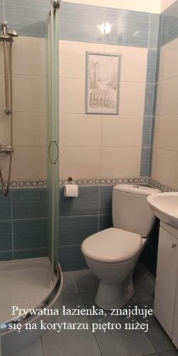 a bathroom with a toilet and a shower at Pokoje gościnne u Małgosi in Jarosławiec