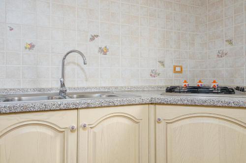 uma cozinha com um lavatório e uma bancada em Casa la gattina em Nuragheddu