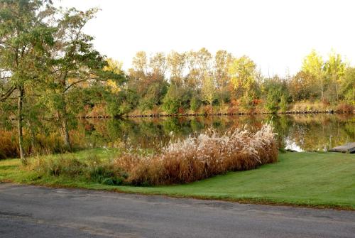 a body of water with grass and trees and a road at Liftlock Guest House in Peterborough