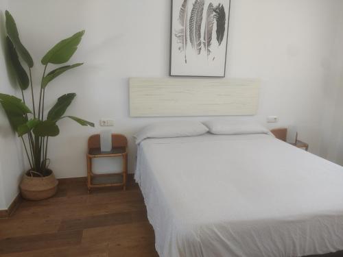 a bedroom with a white bed and a plant at Apartamentos Cala San Pedro in Las Negras