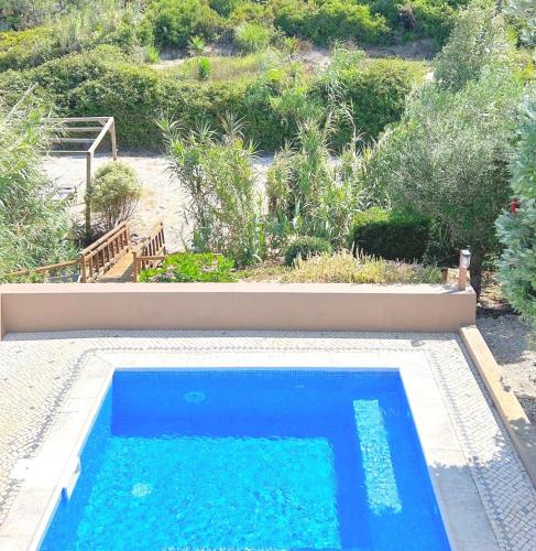 a blue swimming pool in a yard with a garden at Sãone Guesthouse - Coworking & Retreat Location in Ericeira