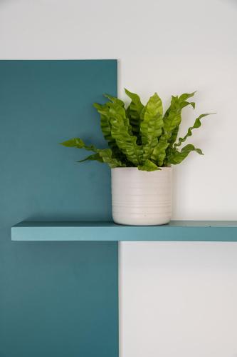 a plant in a white pot sitting on a shelf at Mate GEORGE - By HOMY in Tel Aviv