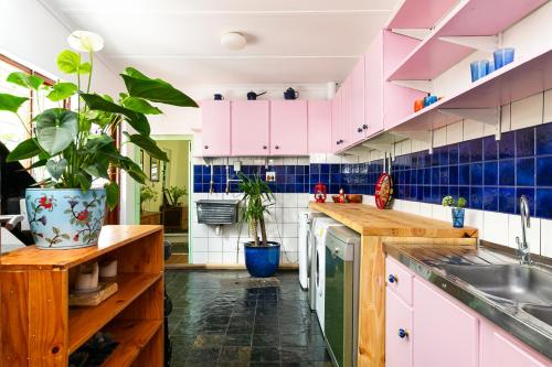 Cape Town的住宿－Faure Street 20，厨房配有粉色橱柜和盆栽植物