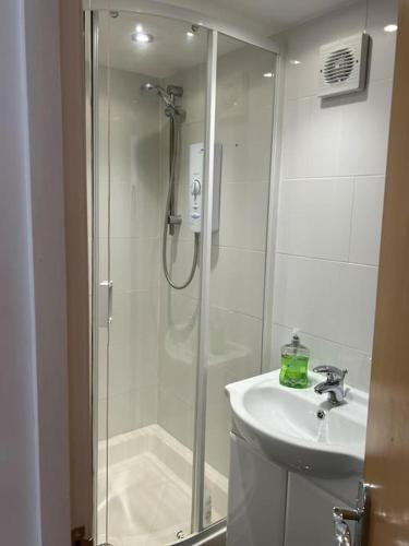 a bathroom with a shower and a sink at Cosy Studio Cabin with Optional Hot Tub Lilliput near Sandbanks beach in Poole