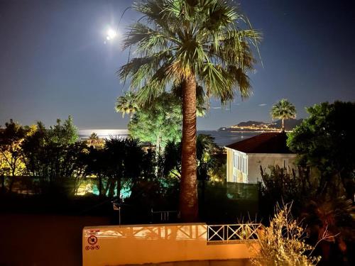 Cannes Villa Francia