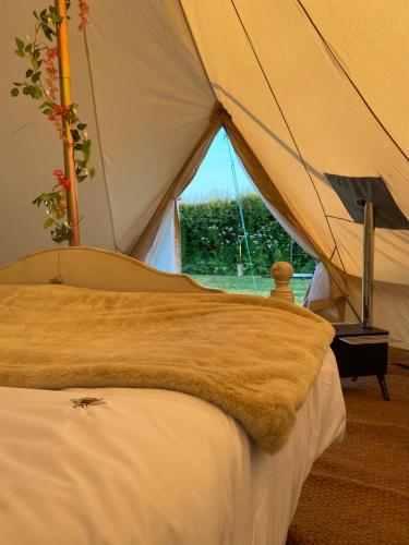 uma cama numa tenda com uma grande janela em Roe Deer Meadow at Carr House Farm em Scarborough