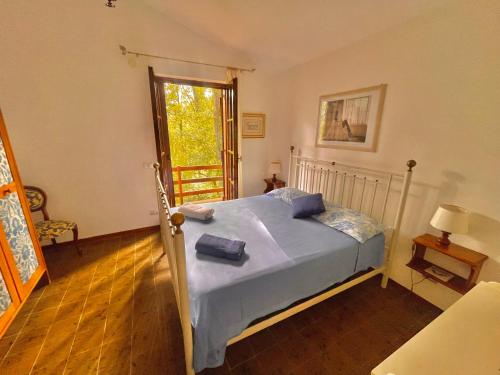 a bedroom with a bed with blue sheets and a window at B&B Notti Serene in Allumiere