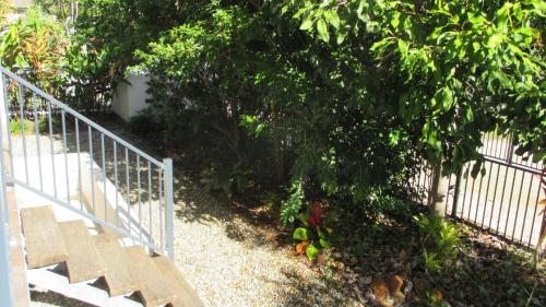 a staircase next to a tree next to a fence at Edge Apartments Cairns in Cairns