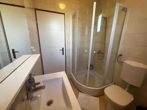 a bathroom with a shower and a toilet and a sink at Apartments Village in Lozovac