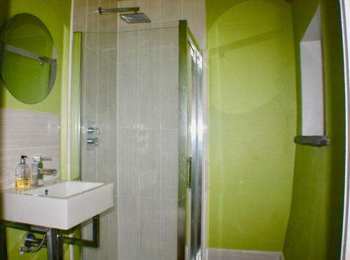 a green bathroom with a sink and a shower at Mount Barn in Newcastle Emlyn