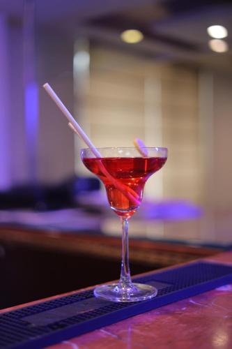 Tragos en Surasena Regal Vista Agra