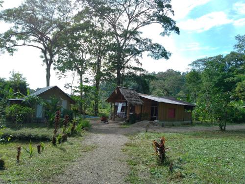 Cabinas casa jungla