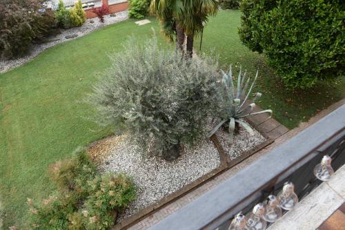 an overhead view of a garden with plants and a palm tree at Ornella's apartment - Relax near Venice in Boion