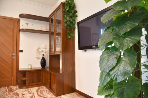 a living room with a tv and a plant at Ornella's apartment - Relax near Venice in Boion