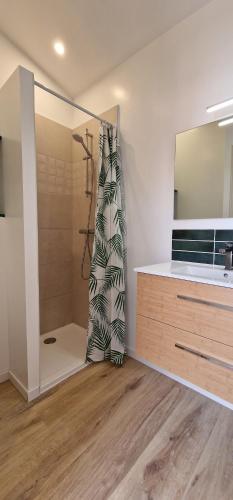 y baño con cortina de ducha y lavamanos. en Appartement en bord de mer 3, en Banyuls-sur-Mer