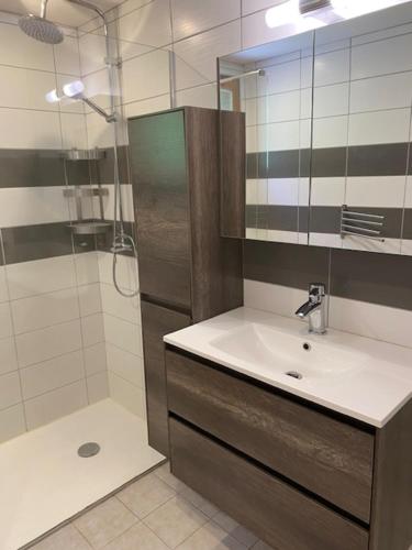 a bathroom with a sink and a shower at CHALET LA RIOULE 16 pers in Doucy