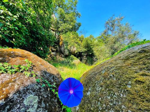 a blue umbrella sitting on top of two rocks at Quinta Alma Verde in Póvoa das Quartas
