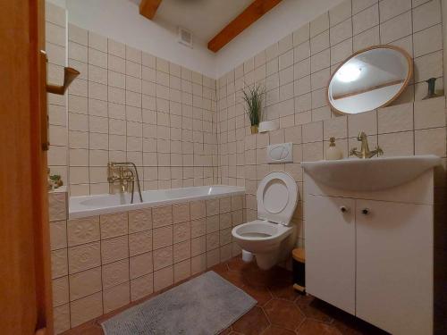 y baño con lavabo, aseo y espejo. en U Maliny Děčín - apartmán Viktorie en Malá Veleň