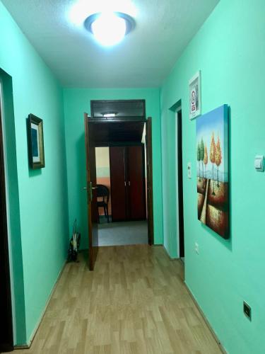 an empty room with green walls and a hallway at VIP Rooms Foča, Accommodation Foca, Foca Rooms in Foča