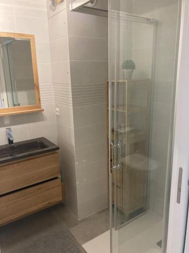 une salle de bain avec une douche en verre et un lavabo dans l'établissement Duplex vue sur le Golf et piscine, à La Grande Motte