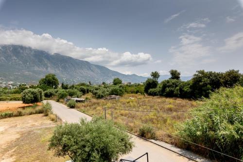 a road in a field with a mountain in the background at Pagani Green - Luxury Maisonette B3 in Kalamata